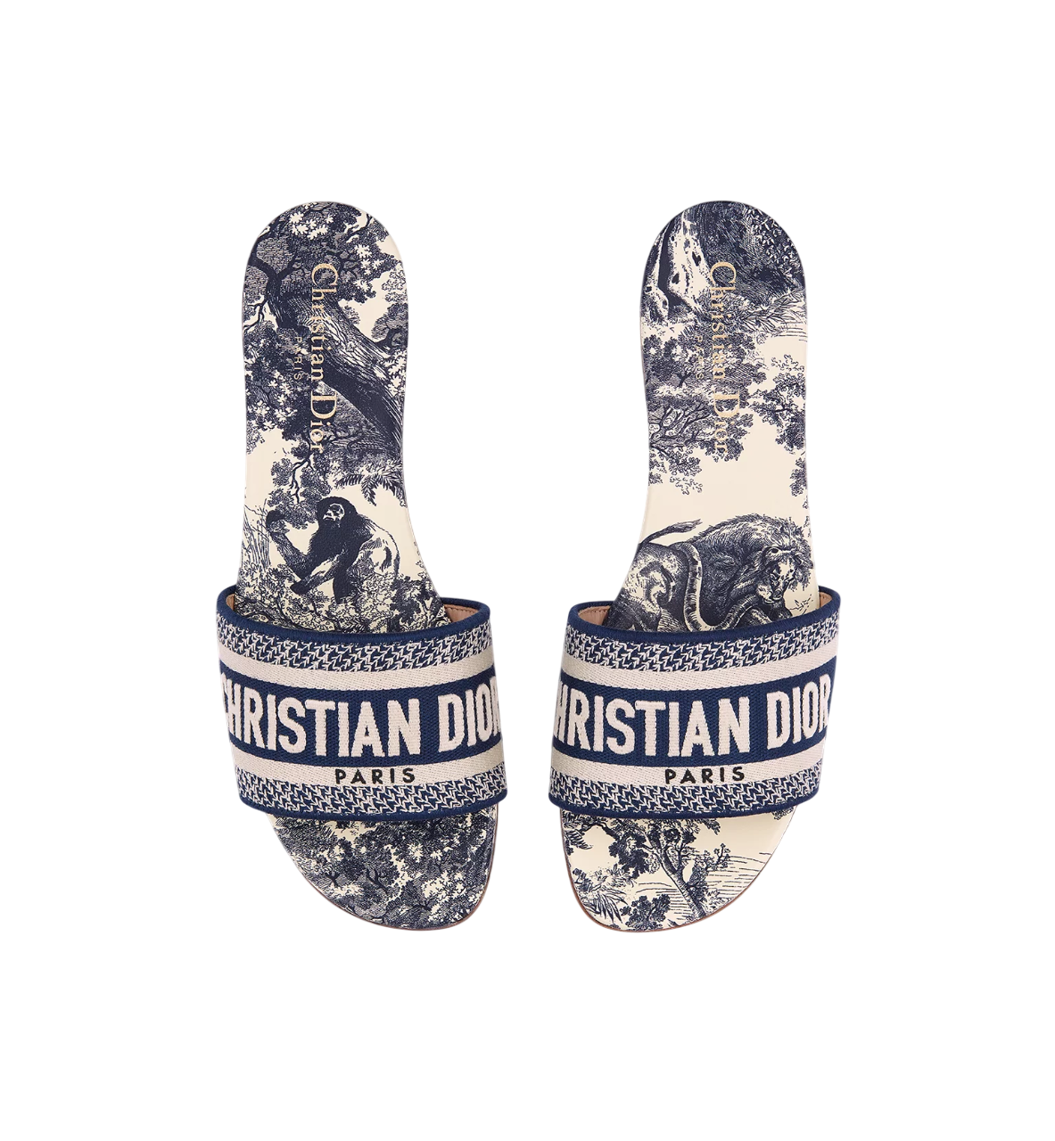 Blue Heritage Print